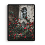 2025 Advent - DIGITAL