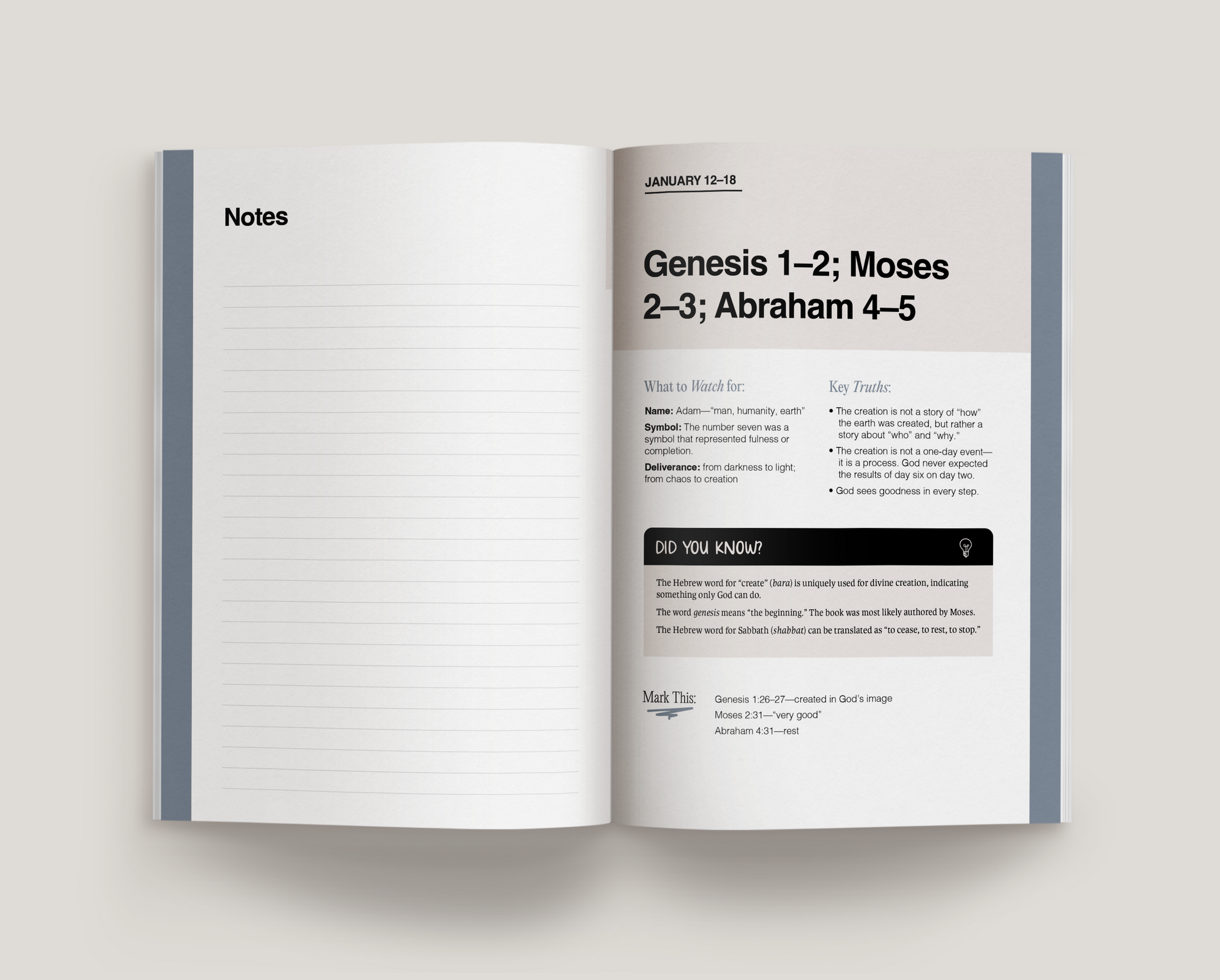 Don't Miss This 2026 Old Testament Study Journal – Good News Brand
