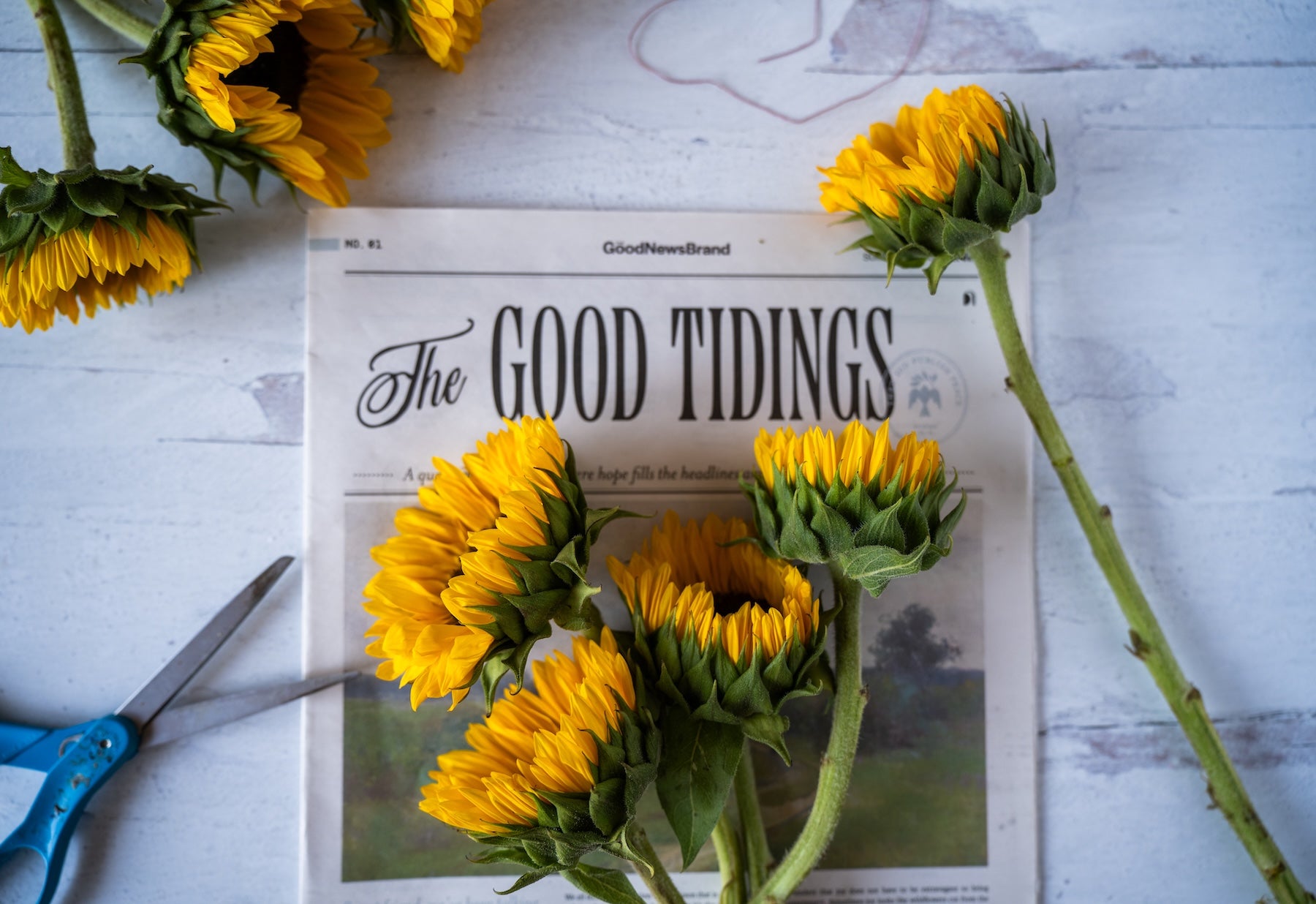 The Good Tidings